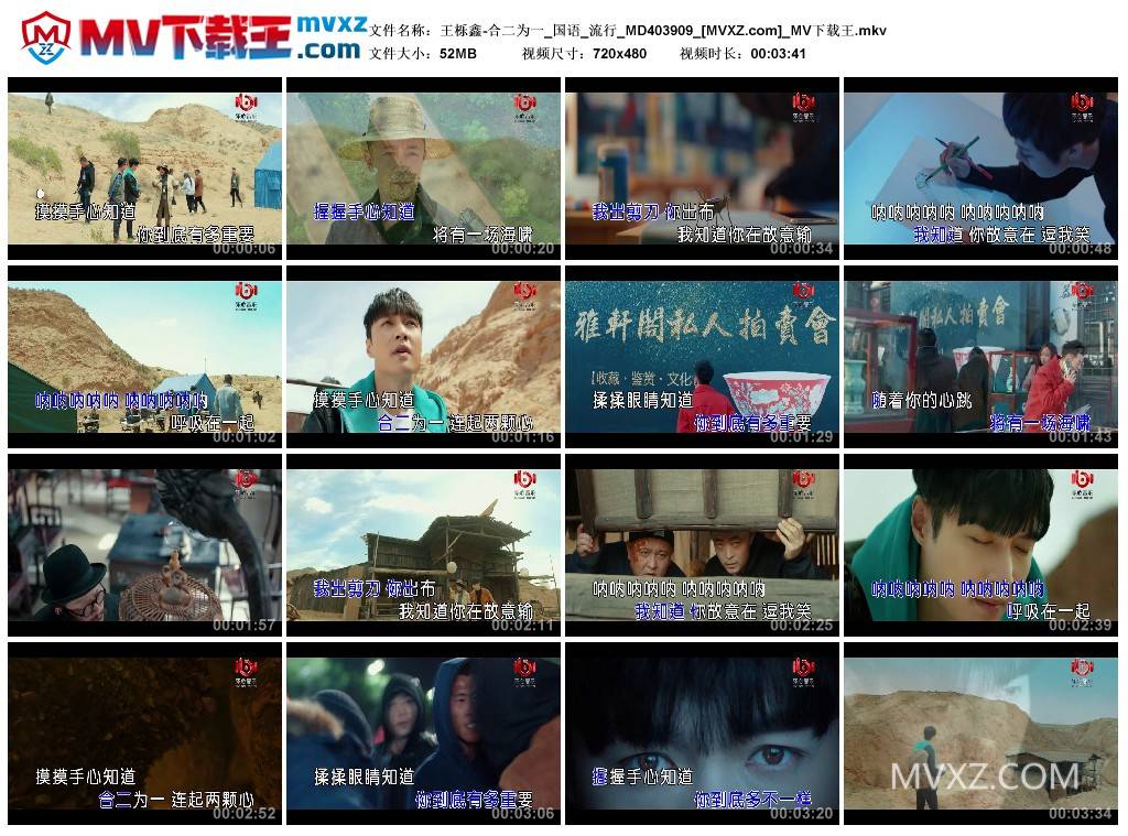 王栎鑫-合二为一_国语_流行_MD403909